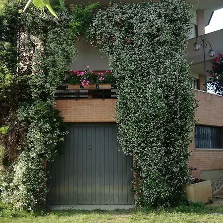 Zanellato House 펜션